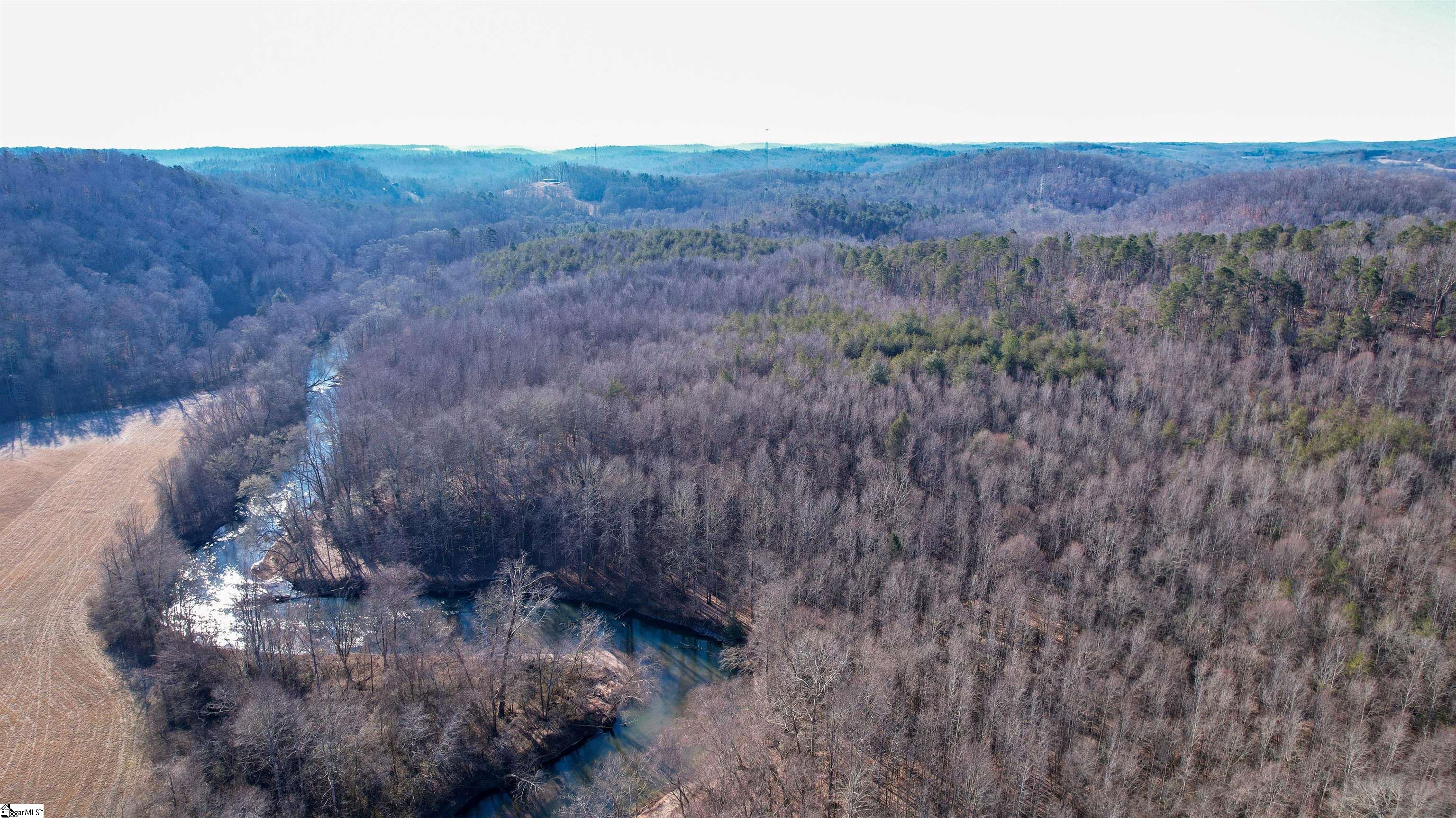 603 Freeman Bridge Road Marietta, SC 29661 - Photo 2 of 18