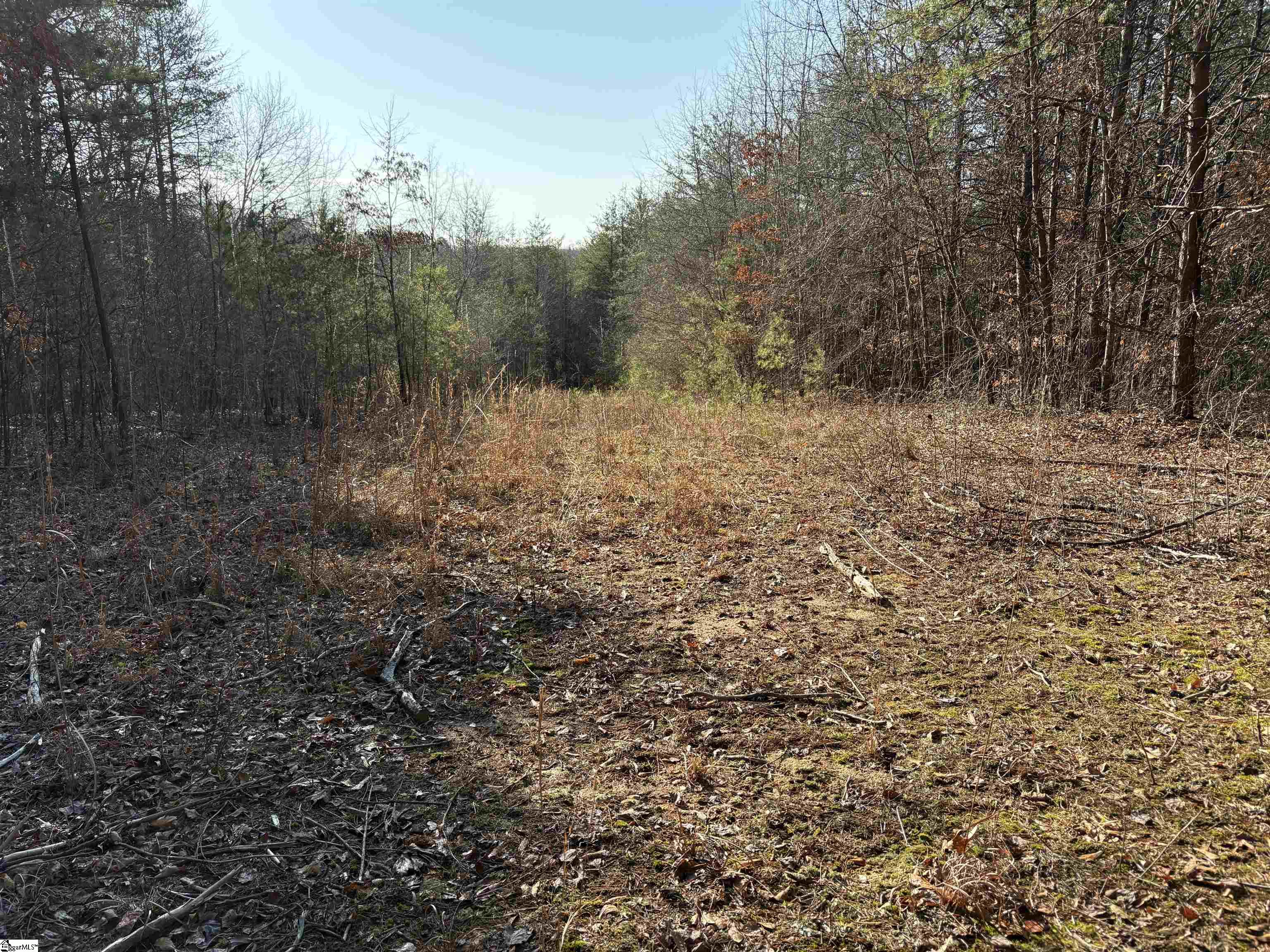 603 Freeman Bridge Road Marietta, SC 29661 - Photo 7 of 18