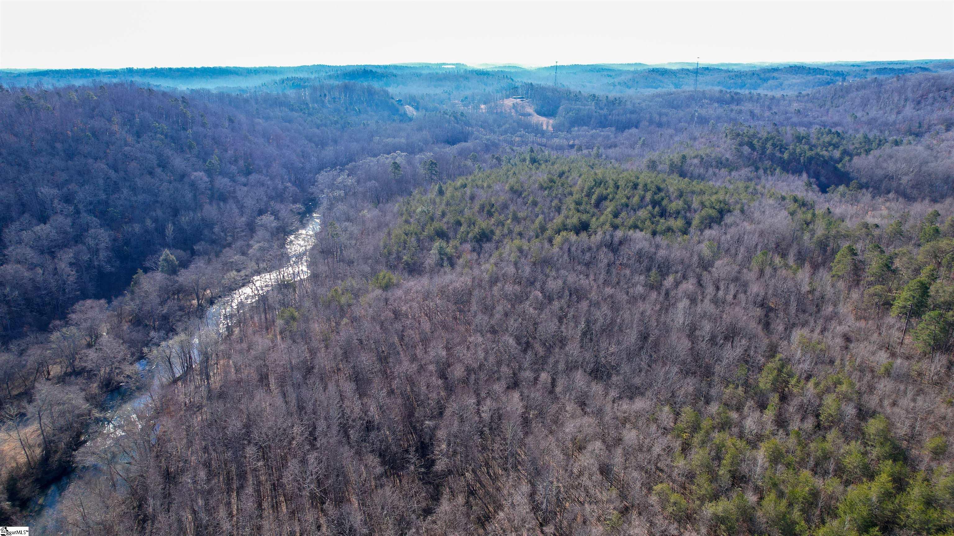 603 Freeman Bridge Road Marietta, SC 29661 - Photo 10 of 18