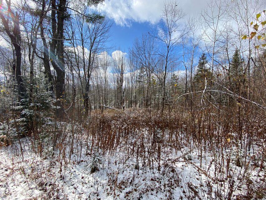 140 Works Road Jackson, ME 04921 - Photo 22 of 38 22