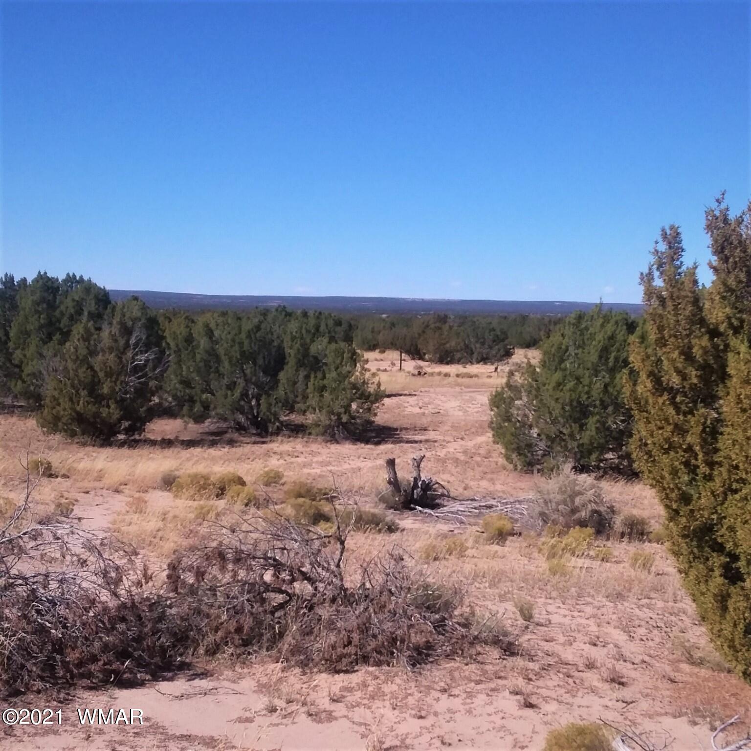 St-johns Az 85936 Ranch Springerville, AZ 85938 - Photo 12 of 15