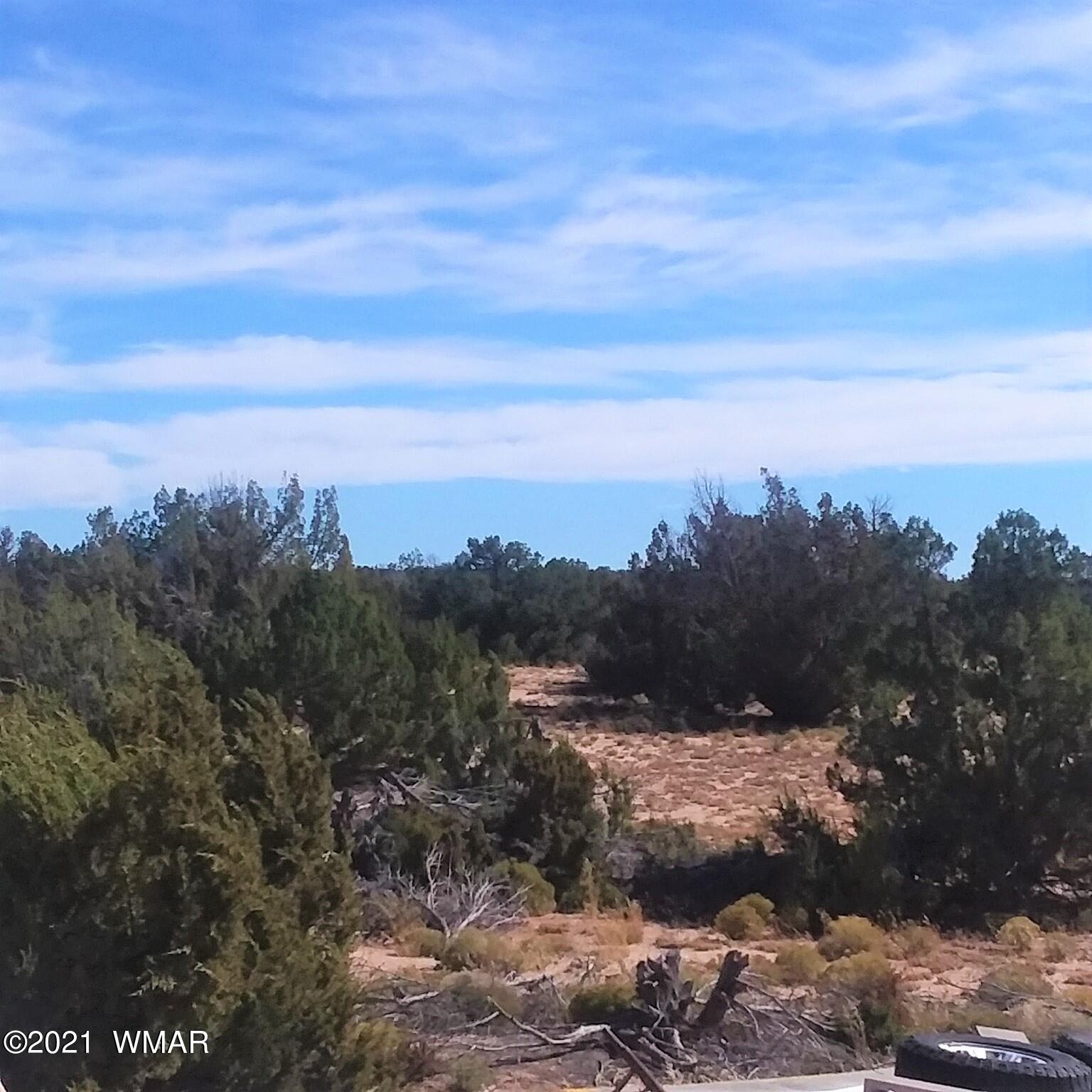 St-johns Az 85936 Ranch Springerville, AZ 85938 - Photo 13 of 15