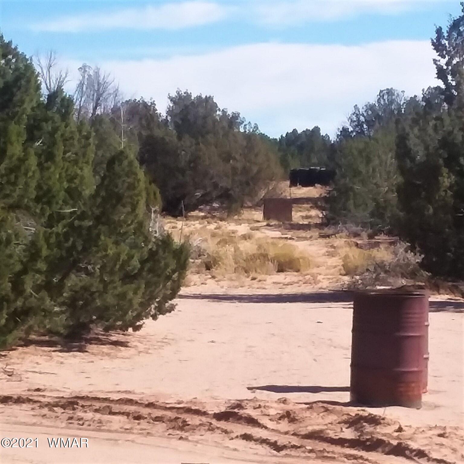 St-johns Az 85936 Ranch Springerville, AZ 85938 - Photo 14 of 15