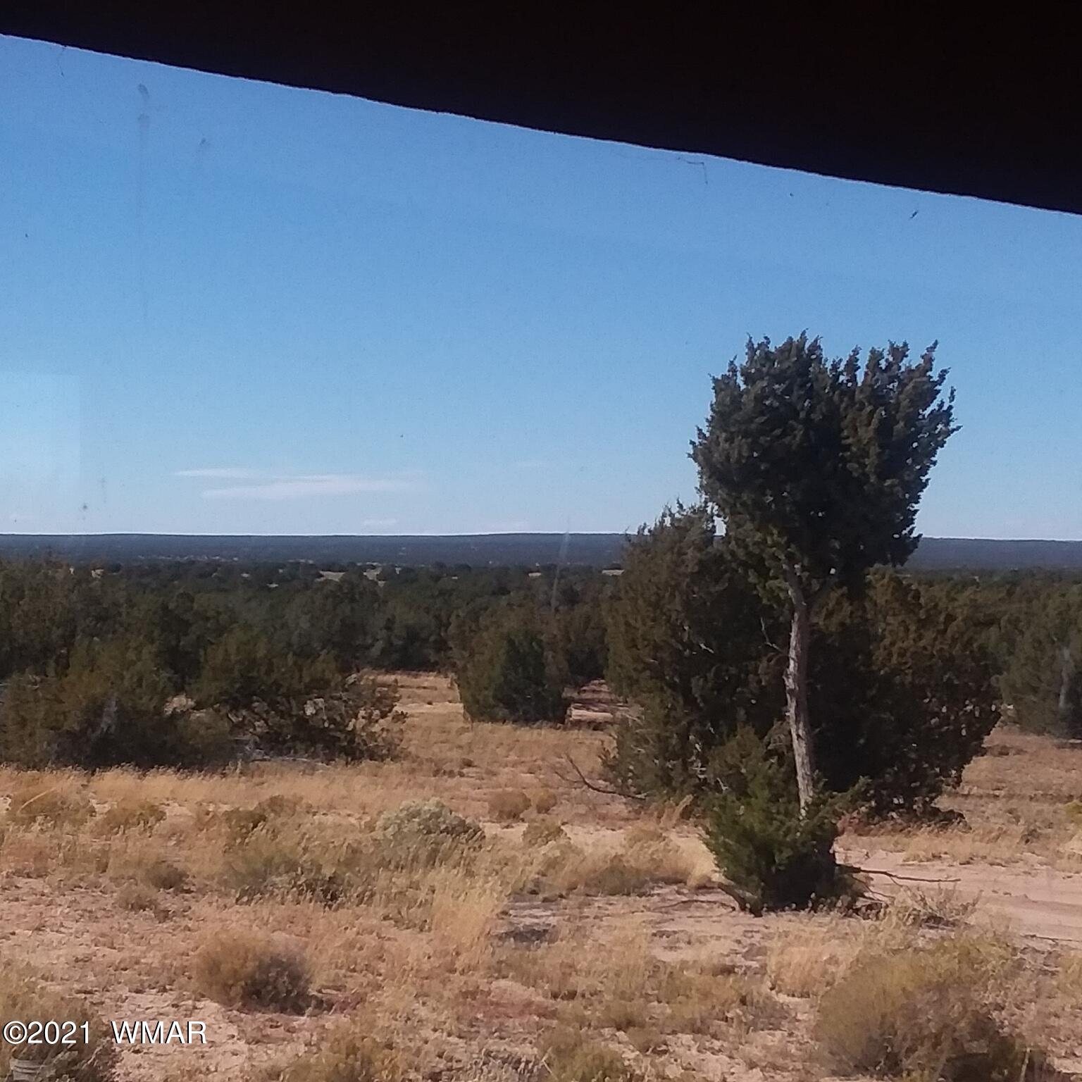 St-johns Az 85936 Ranch Springerville, AZ 85938 - Photo 3 of 15