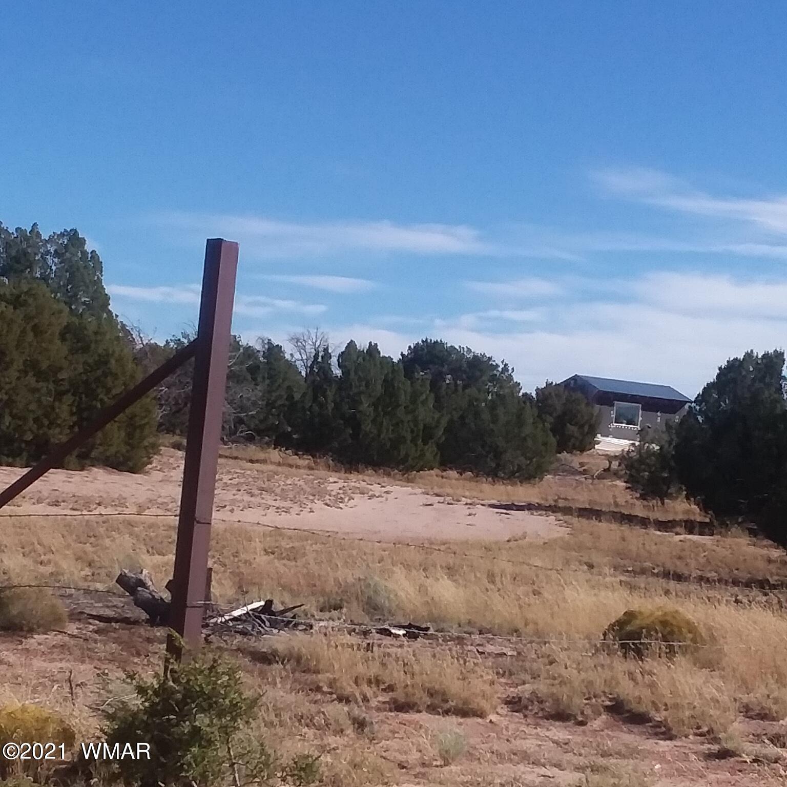 St-johns Az 85936 Ranch Springerville, AZ 85938 - Photo 4 of 15