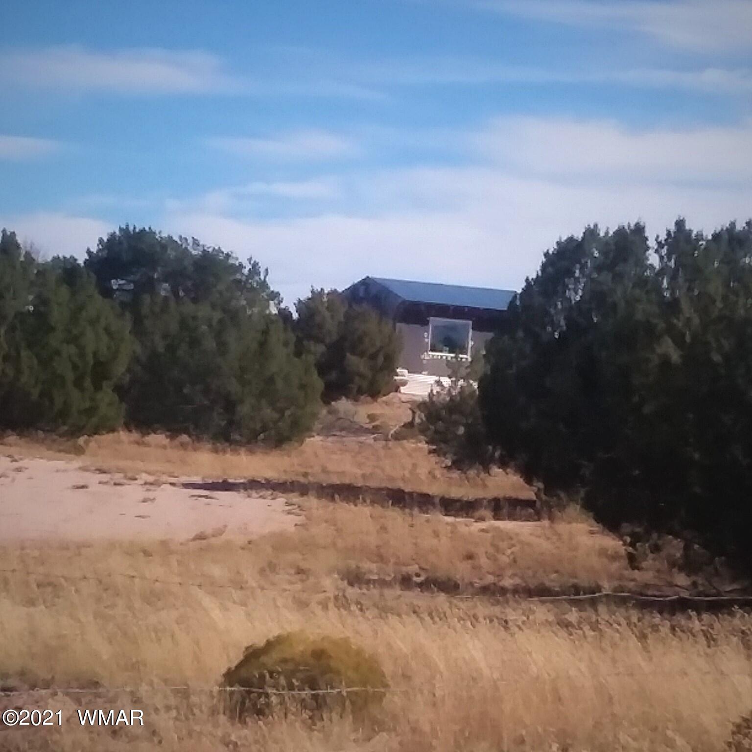 St-johns Az 85936 Ranch Springerville, AZ 85938 - Photo 6 of 15