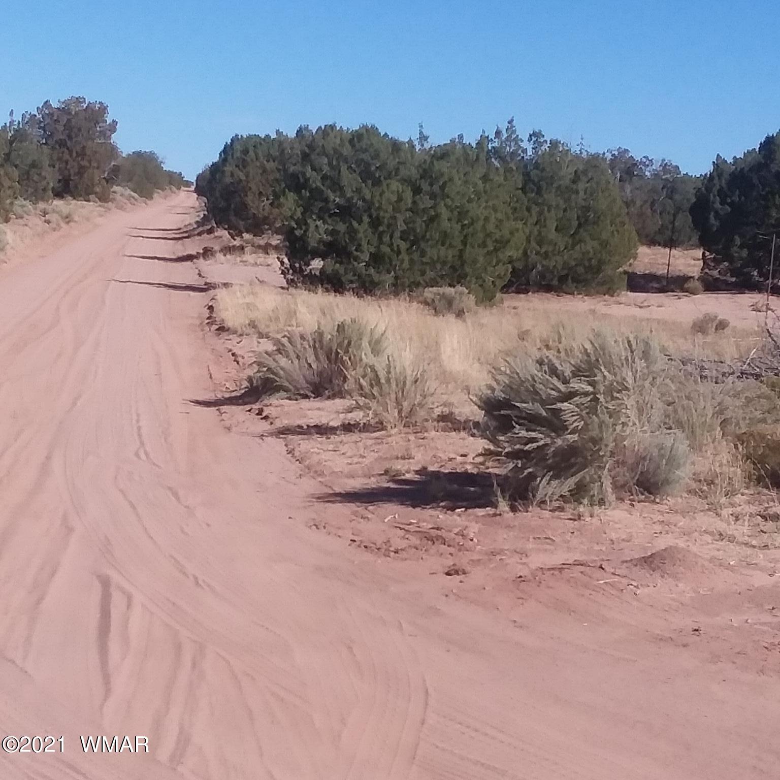 St-johns Az 85936 Ranch Springerville, AZ 85938 - Photo 8 of 15