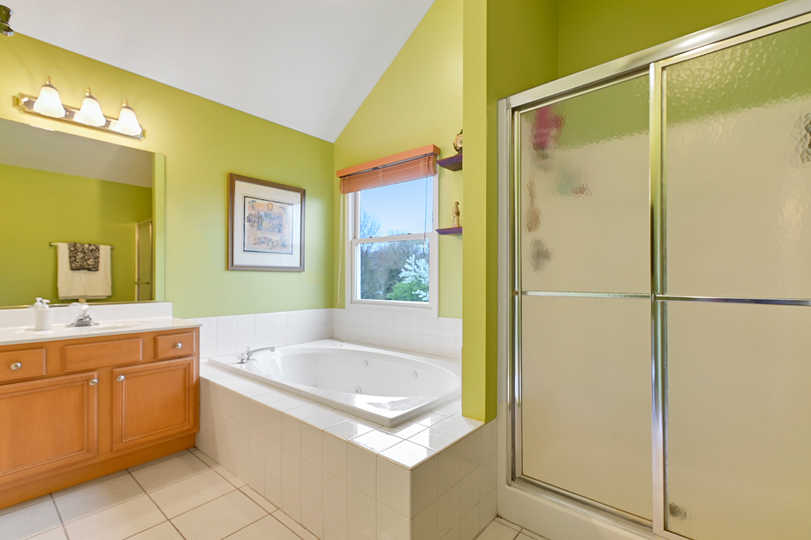 2041 Wagner Road Batavia, IL 60510 - Photo 26 of 38 a bathroom with a tub sink and mirror