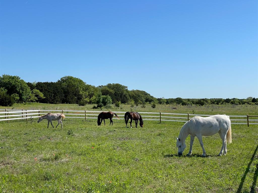 3164 Clater Powell Road Waco, TX 76705 - Photo 31 of 37