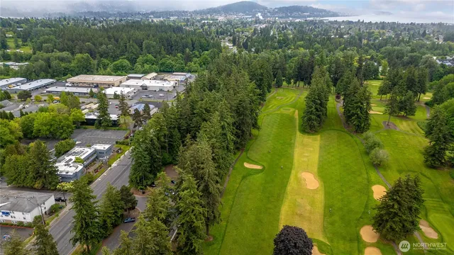 an aerial view of residential houses with outdoor space and trees