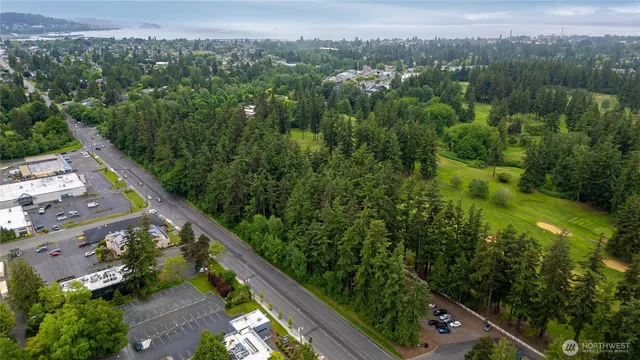 an aerial view of residential houses with outdoor space and trees