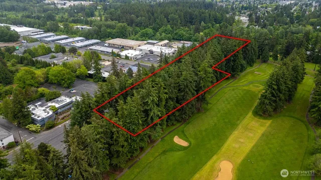a view of a backyard with plants
