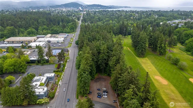 an aerial view of residential houses with outdoor space and trees