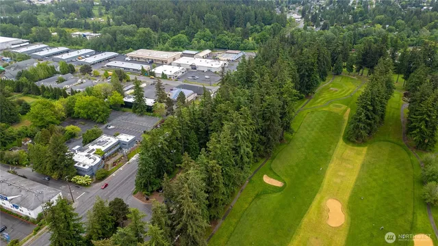 a view of a yard with plants