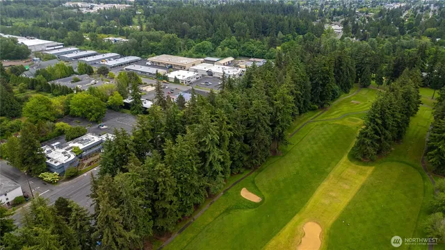 a view of a yard with plants