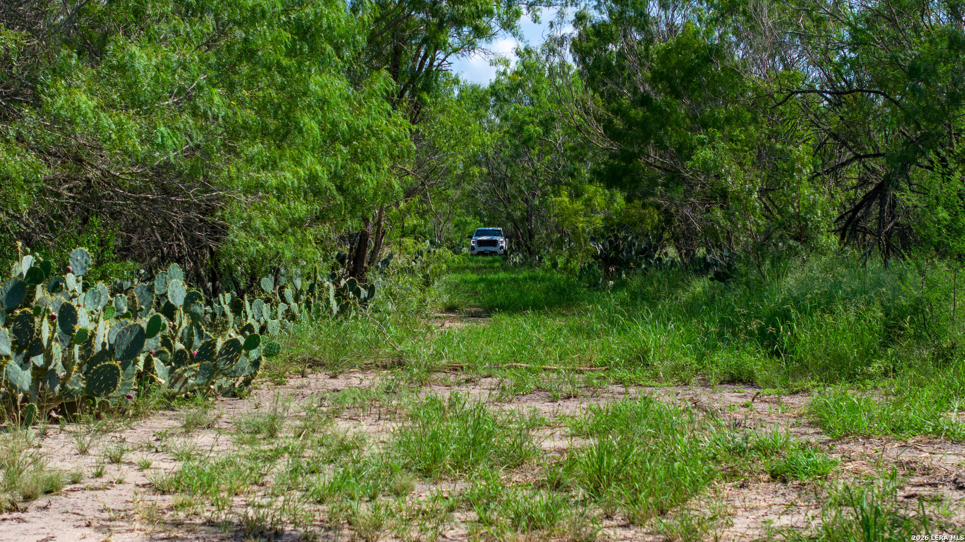0 Cr 241 Three Rivers, TX 78071 - Photo 4 of 19