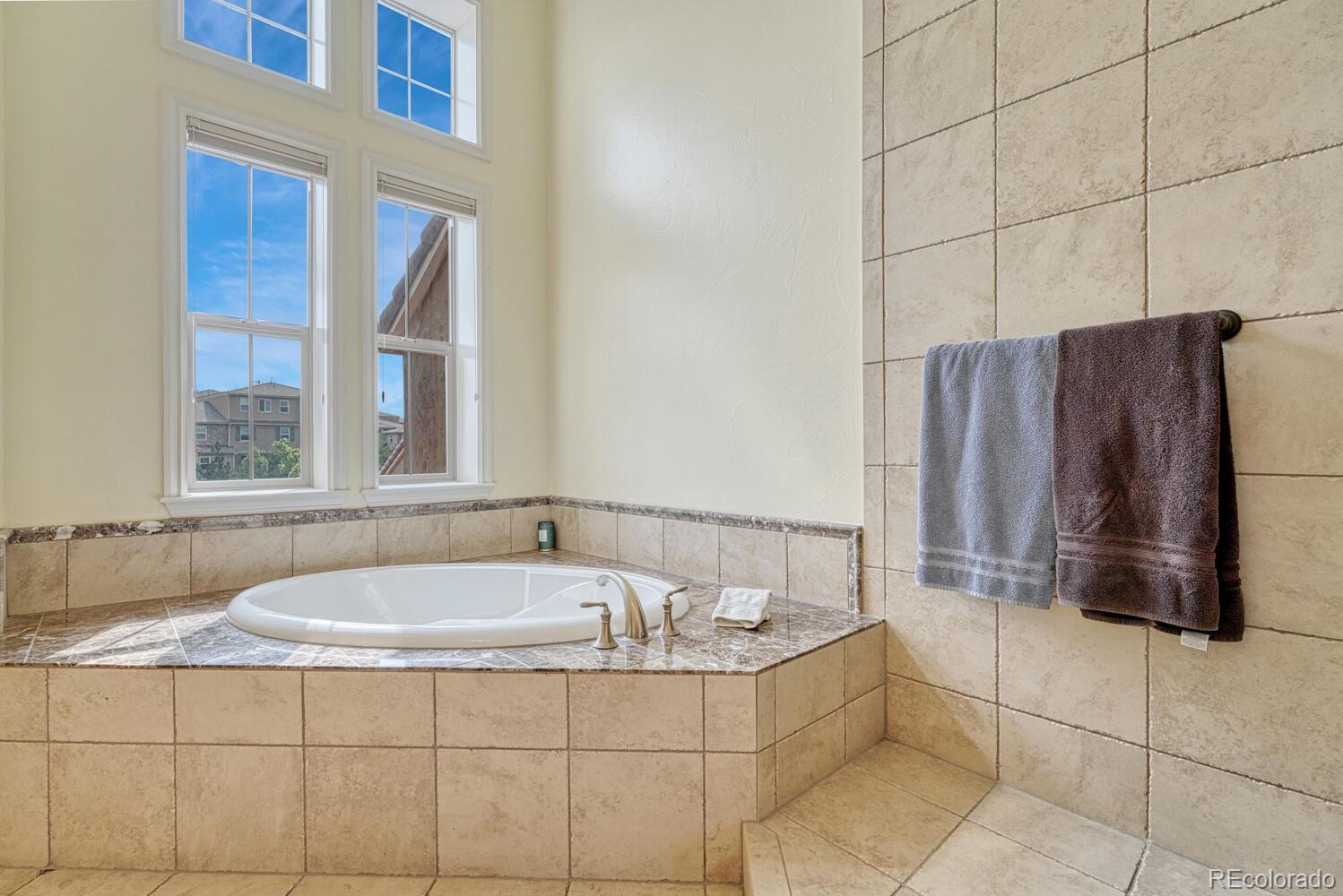 9391 Viaggio Way Highlands Ranch, CO 80126 - Photo 25 of 47 Gallery Image 25