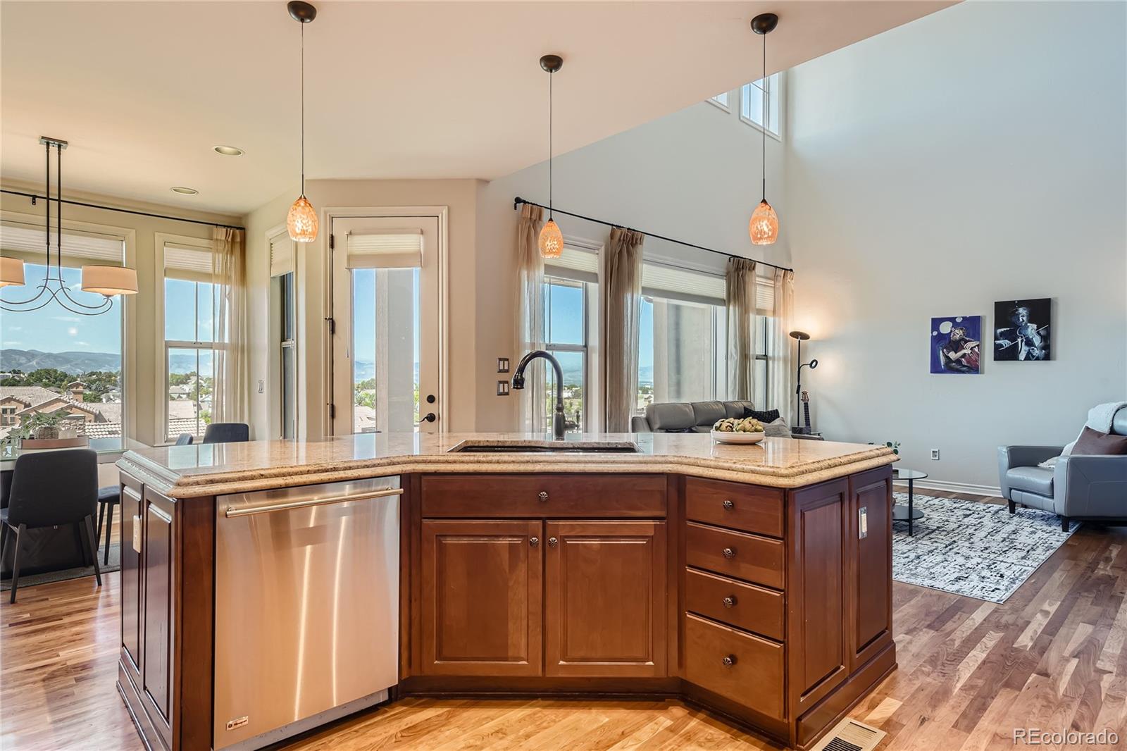 9391 Viaggio Way Highlands Ranch, CO 80126 - Photo 8 of 47 Gallery Image 8