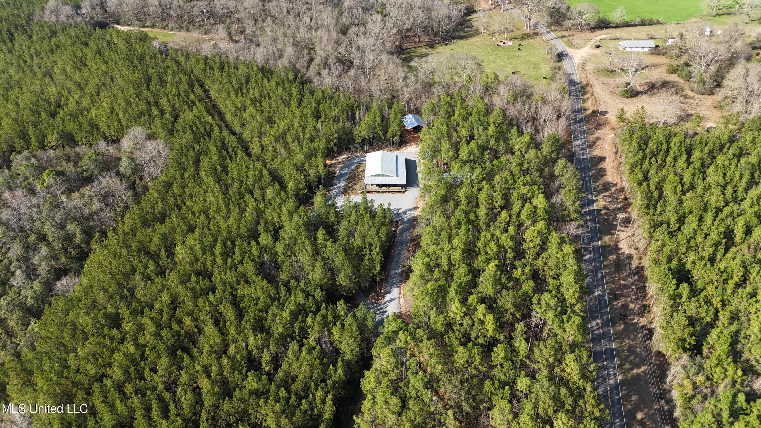 1773 Ridge Road, Unit A Perkinston, MS 39573 - Photo 16 of 32 DJI_20250209145329_0018_D