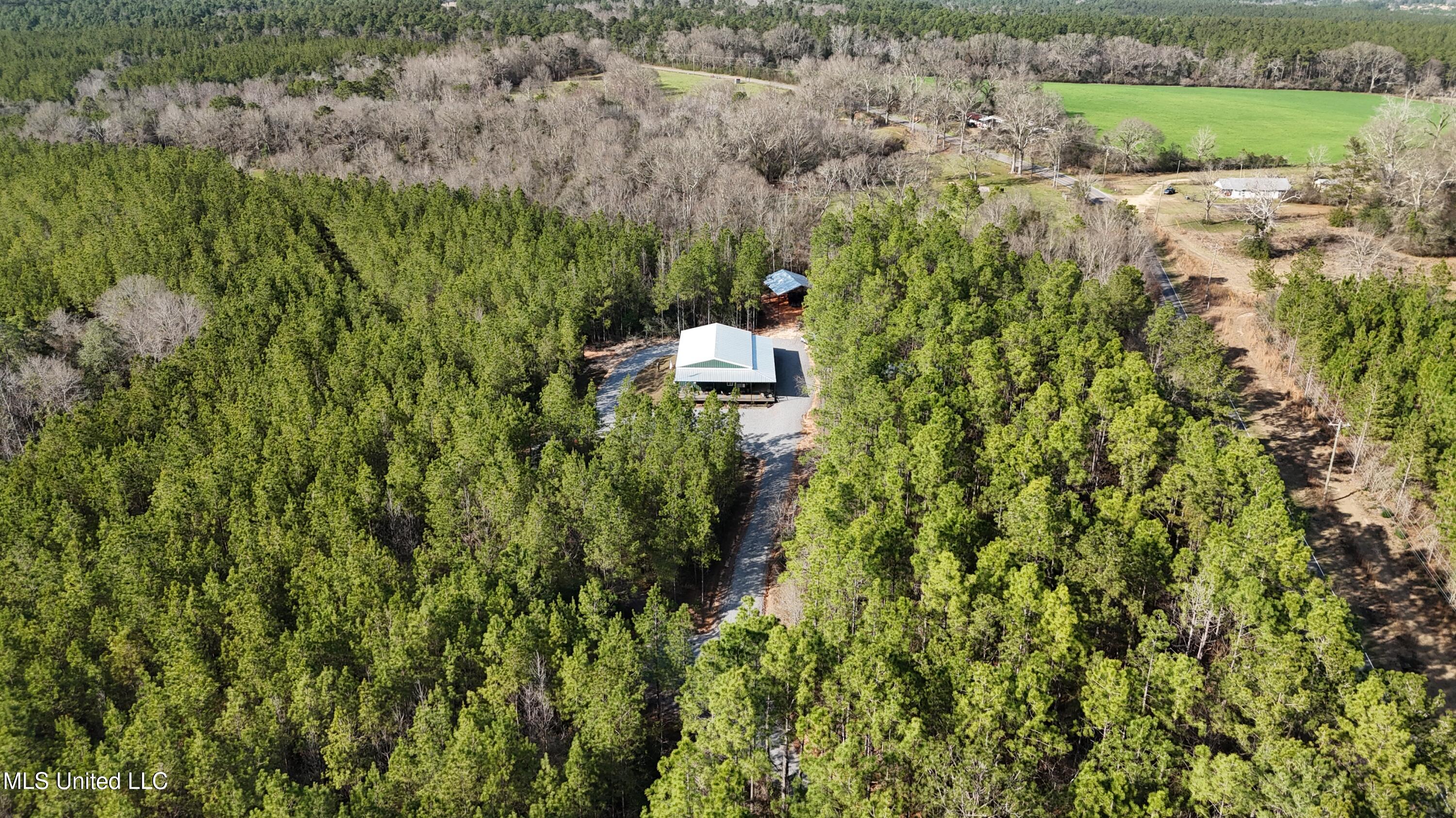 1773 Ridge Road, Unit A Perkinston, MS 39573 - Photo 17 of 32 DJI_20250209145416_0023_D