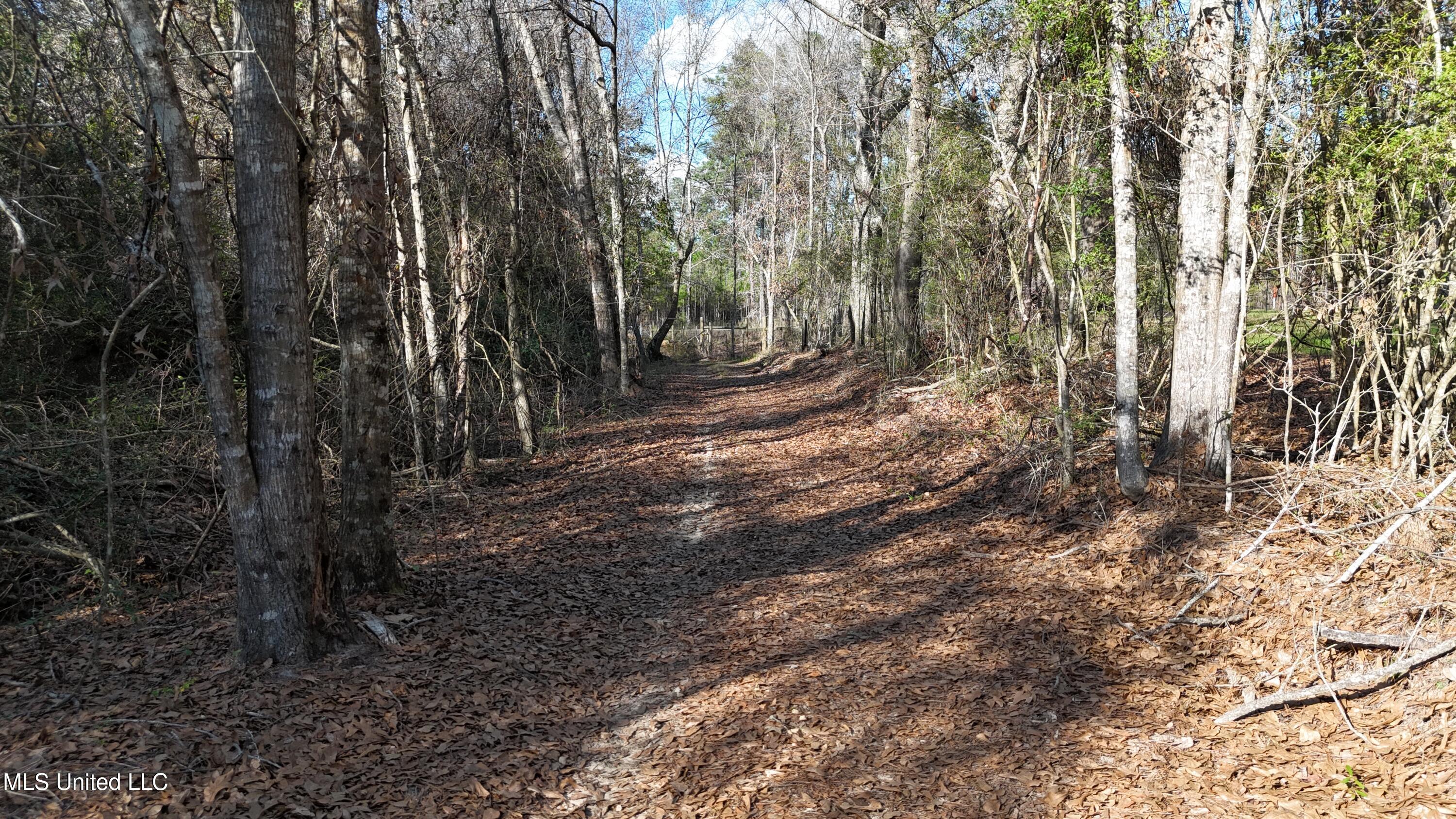 1773 Ridge Road, Unit A Perkinston, MS 39573 - Photo 27 of 32 DJI_20250209151228_0051_D