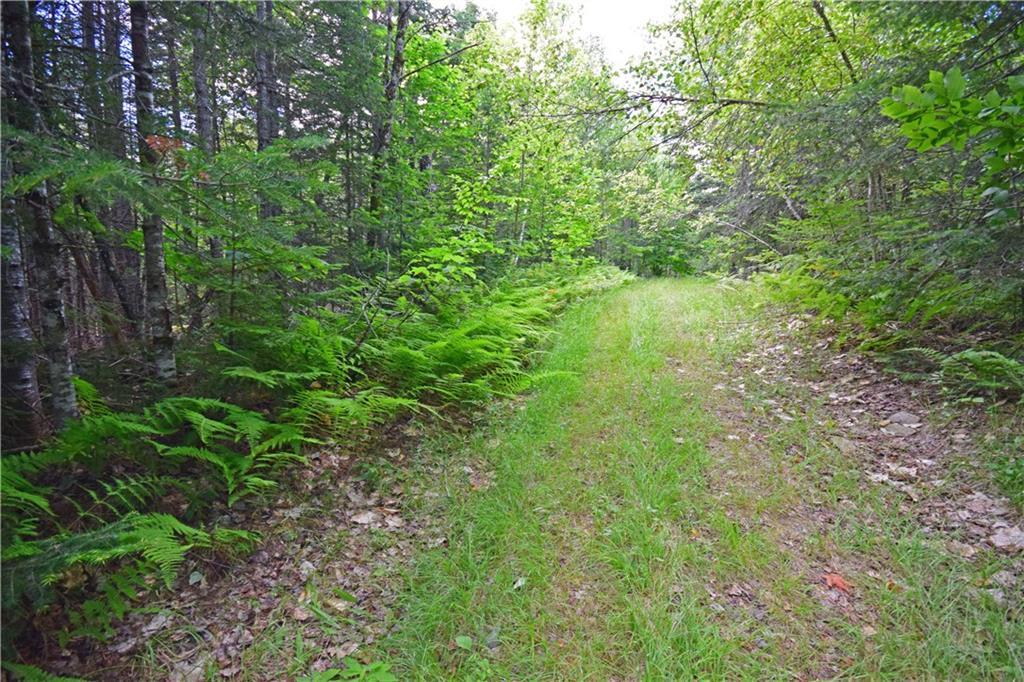 1 Ricker Road Carroll Plt, ME 04487 - Photo 7 of 14 Photo