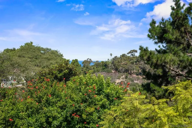 a view of a bunch of trees