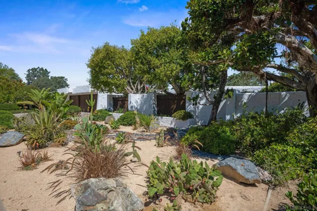 a view of a garden with plants and large trees