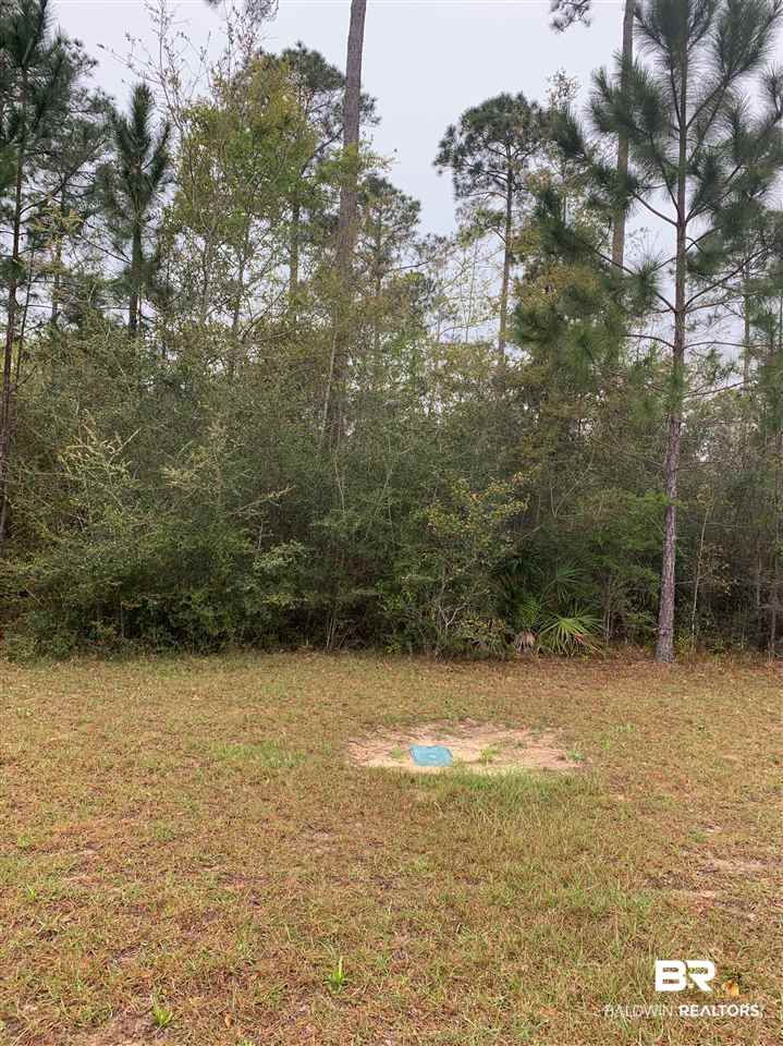 Timber Lane Elberta, AL 36530 - Photo 2 of 10 Lot 42