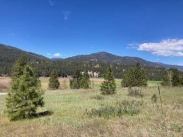 3500 Rockcut Road Kettle Falls, WA 99141 - Photo 4 of 29
