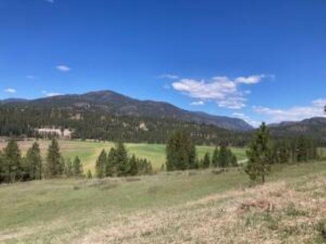 3500 Rockcut Road Kettle Falls, WA 99141 - Photo 6 of 29