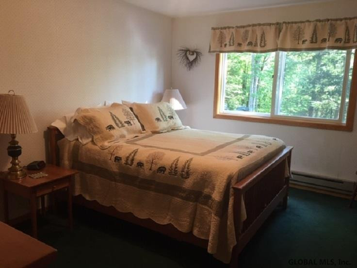 21 Hinterland Road Schroon, NY 12858 - Photo 17 of 24 Photo 17