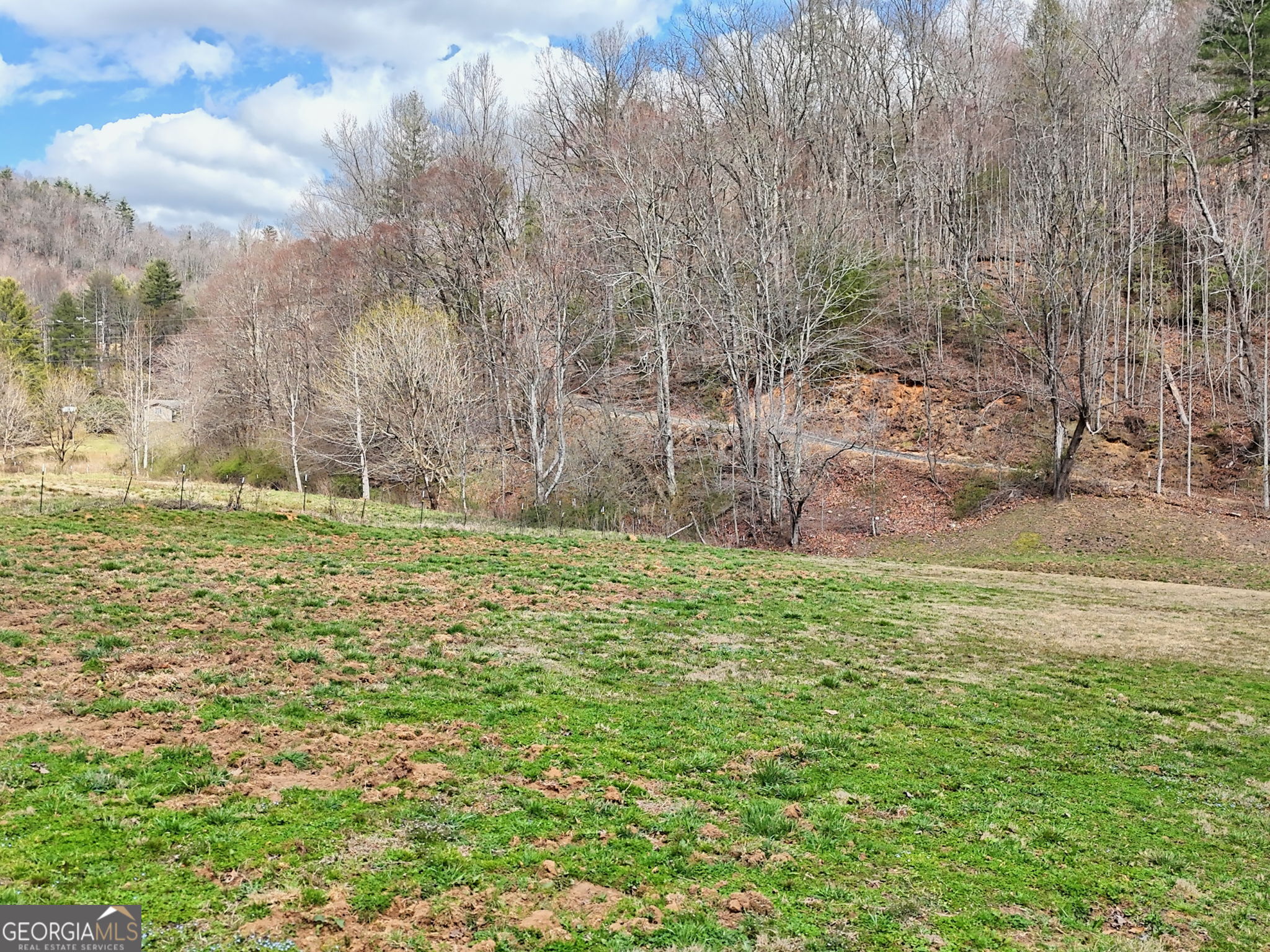 1068 Coleman River Road Clayton, GA 30525 - Photo 76 of 88