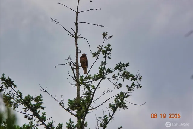 a view of a plant in a of a house