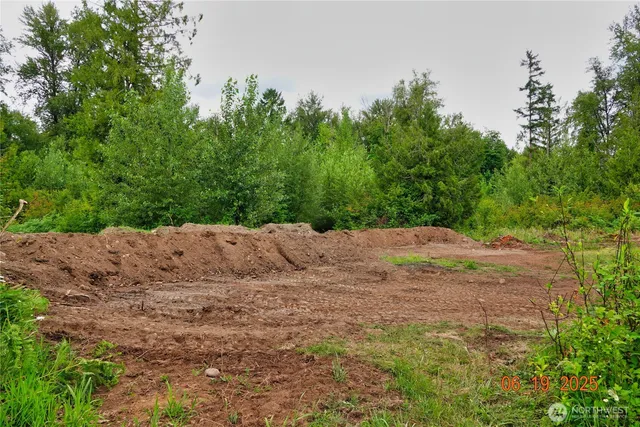 a view of backyard of green space