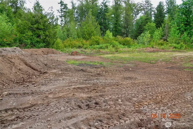 a view of a dirt road with trees in the background