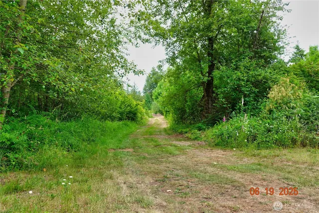 a view of a lush green space