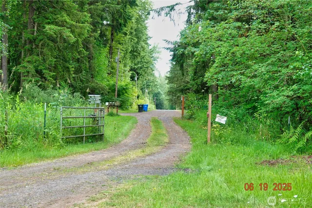 a view of a park with large trees