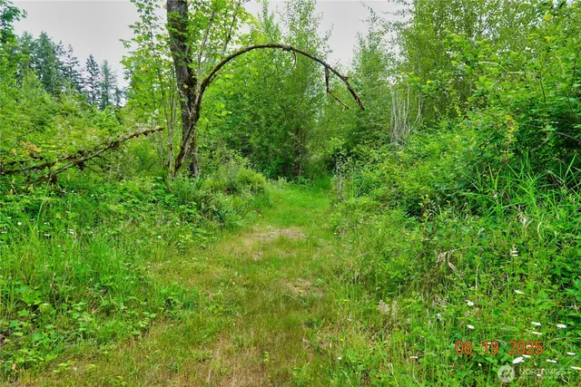 a view of a lush green space