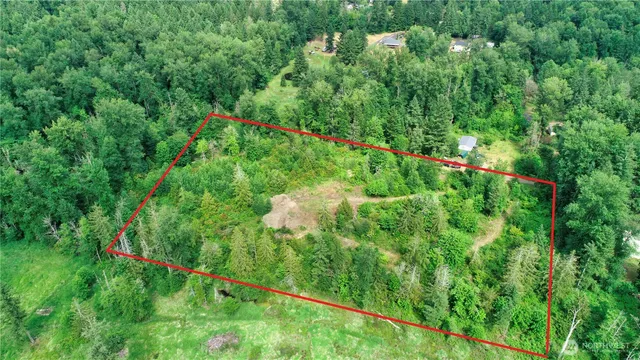 a view of a lush green forest with lots of trees