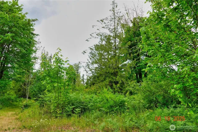 a backyard of a house with lots of green space and trees all around