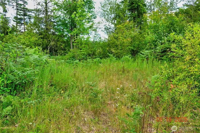 a view of a lush green space
