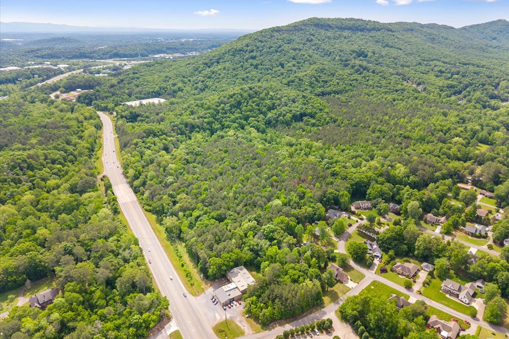0 Chattanooga Road Rocky Face, GA 30740 - Photo 8 of 26 Gallery Image 8