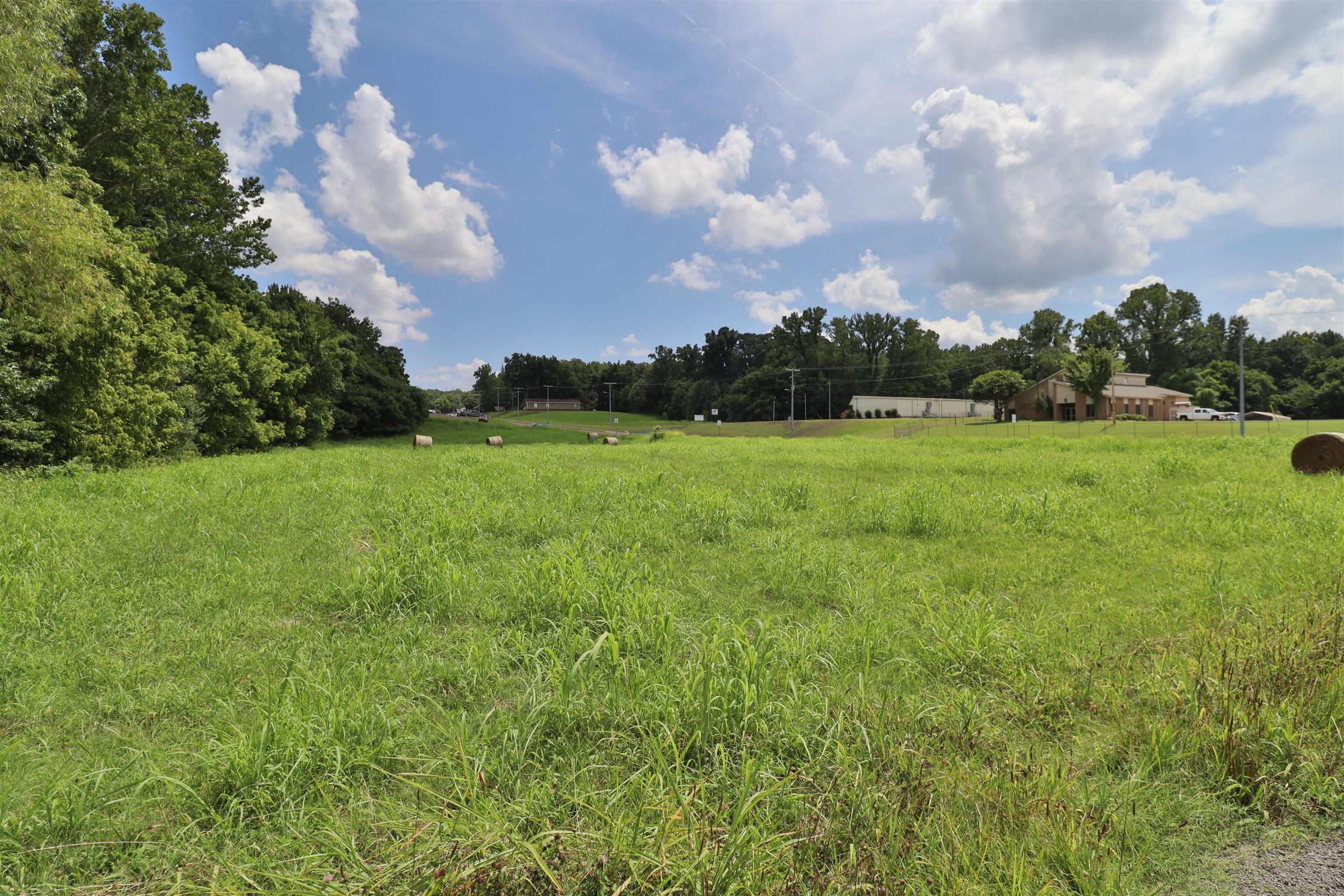 0 Cleveland Street Ripley, TN 38063 - Photo 12 of 13