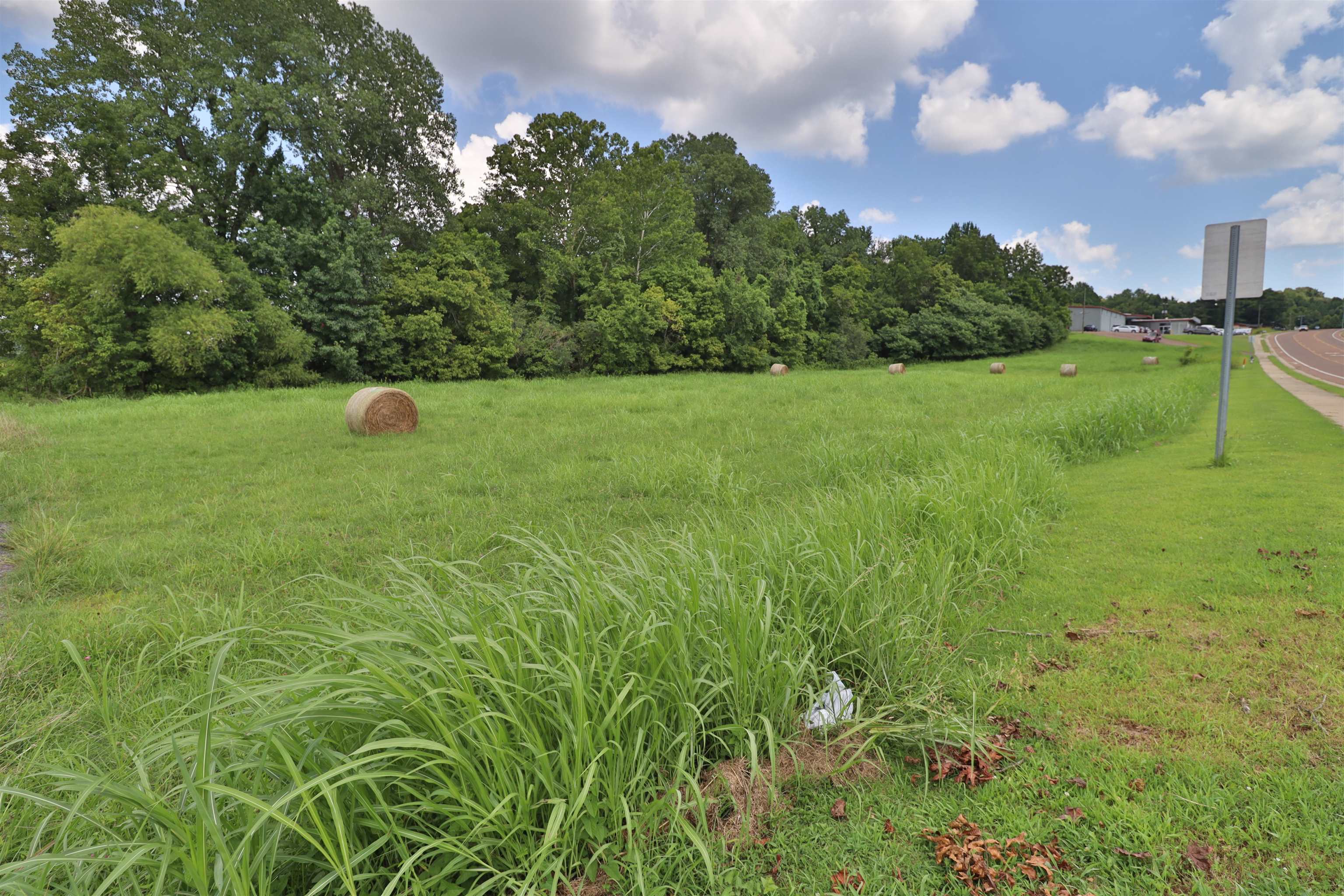 0 Cleveland Street Ripley, TN 38063 - Photo 6 of 13