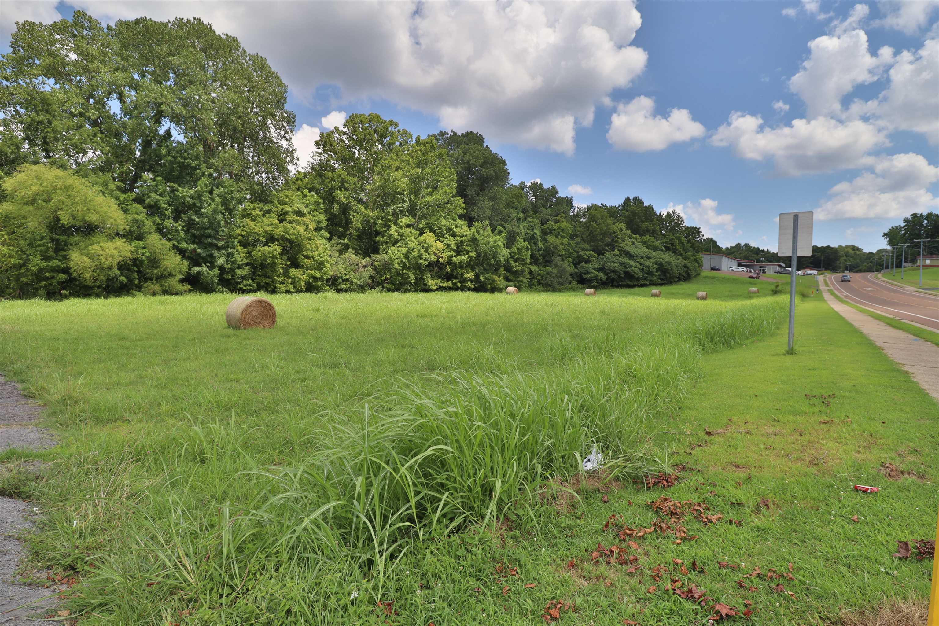 0 Cleveland Street Ripley, TN 38063 - Photo 7 of 13