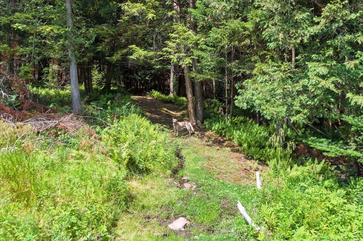 421 Rickaby Road Lowell, VT 05847 - Photo 41 of 58