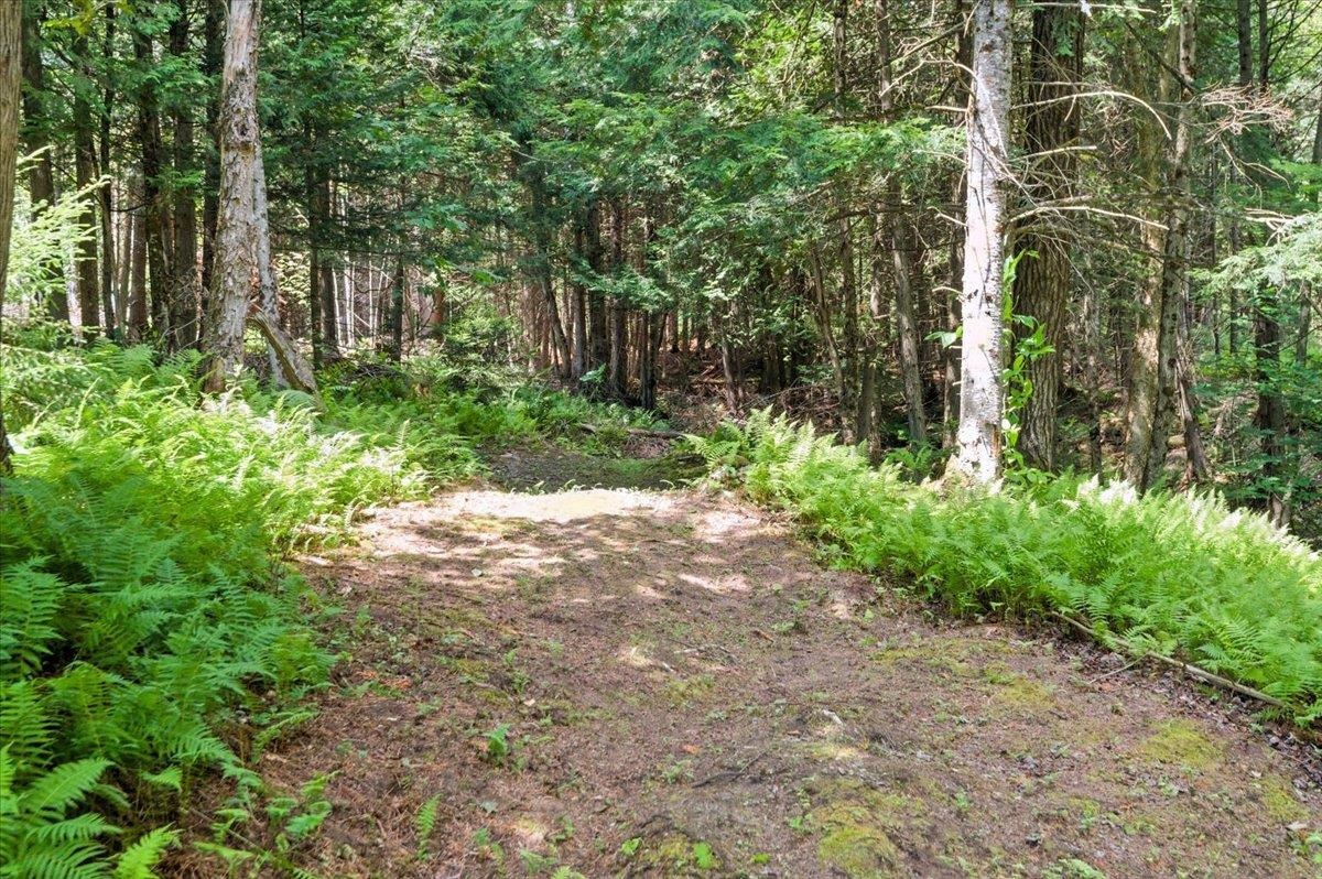421 Rickaby Road Lowell, VT 05847 - Photo 45 of 58