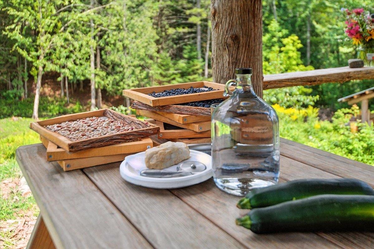 421 Rickaby Road Lowell, VT 05847 - Photo 5 of 58