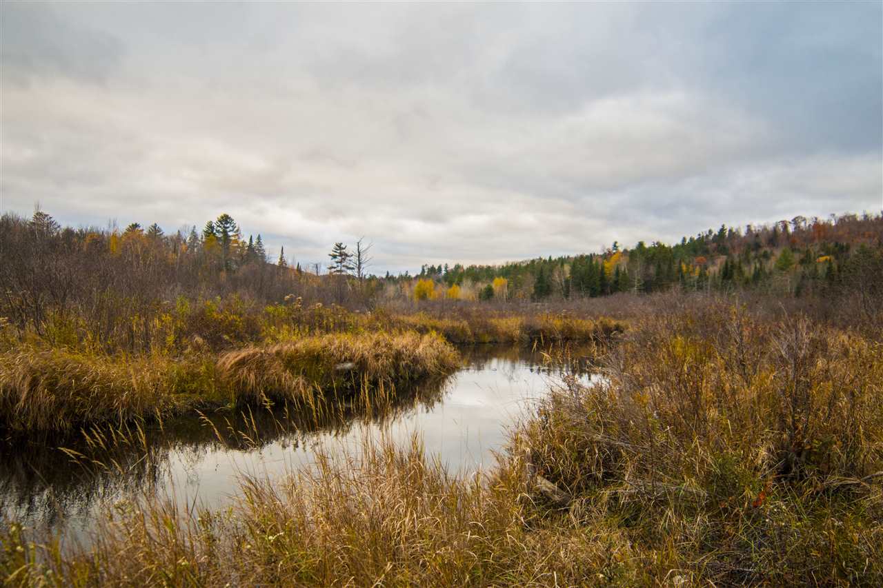 461 Muzzy Hill Road Milan, NH 03588 - Photo 3 of 23